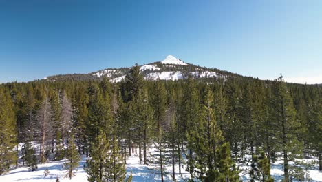 Luftaufnahme-Der-Kiefernwildnis-Mit-Berggipfel-Im-Hope-Valley,-Kalifornien