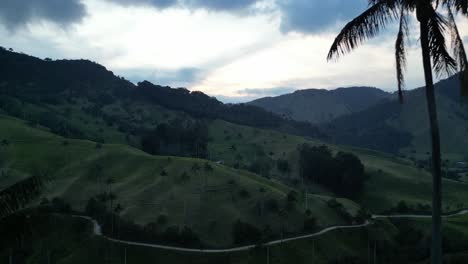 Volando-Entre-Dos-Gigantescas-Palmas-De-Cera-En-El-Valle-De-La-Samaria,-Cerca-De-La-Ciudad-De-Salamina-En-El-Departamento-De-Caldas-Del-Eje-Cafetero-En-Colombia