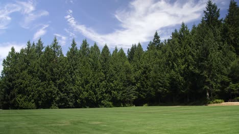 Open-park-space-surrounded-by-evergreen-trees-in-Washington-State