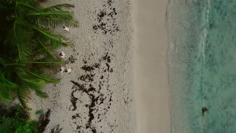 aerial-long-shot-on-beach-in-front-on-palms-on-the-waves,-riviera-maya-quintana-roo-mexico