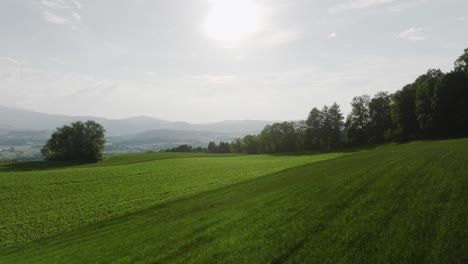 Antena-De-Un-Campo-En-La-Suiza-Rural