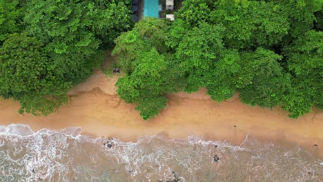 Desde-Arriba,-Las-Olas-Rompiendo-En-La-Arena,-Con-Una-Piscina-Rodeada-De-Un-Bosque-Verde-En-Un-Resort-Ecológico-De-Lujo-En-La-Isla-Príncipe,-Santo-Tomé,-África