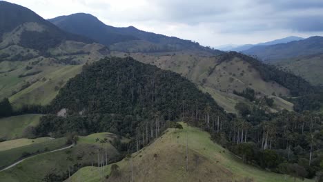 Bosque-Denso-En-El-Montañoso-Valle-De-La-Samaria,-Cerca-De-La-Ciudad-De-Salamina-En-El-Departamento-De-Caldas-Del-Eje-Cafetero-En-Colombia.