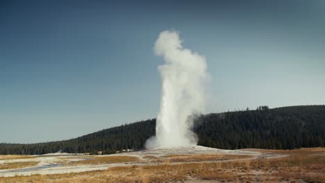 Incredible-shot-of-Old-Faithful-in-Yellowstone-National-park-as-it-erupts