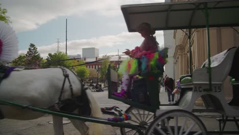 Mule-drawn-carriage-passes-Jackson-Square-New-Orleans-French-Quarter-Day-Exterior
