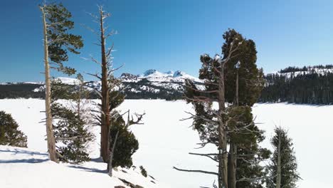 Luftaufnahme-Des-Caples-Lake,-Kalifornische-Winterlandschaft