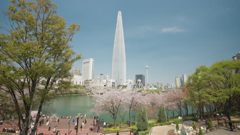 People-Enjoy-Cherry-Blossom-at-Seokchon-Lake-Park-With-Lotte-World-Tower-In-The-Background---high-angle-dolly-reveal