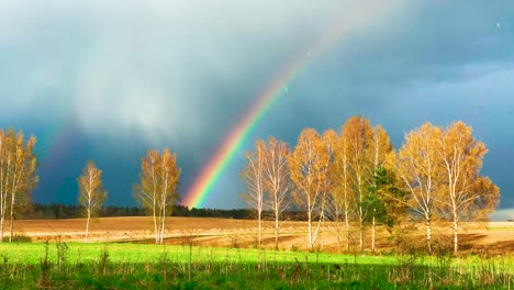 Spectacular-view-of-vivid-rainbow-above-forest,-sun-and-rain-simultaneously