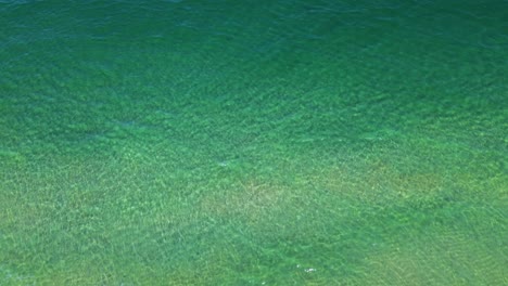 A-chilling-drone-shot-of-sharks-just-off-the-coast-in-Palm-Beach-County-South-Florida