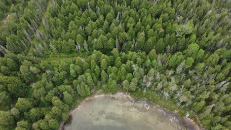 Drone-orbits-close-of-trees-on-island