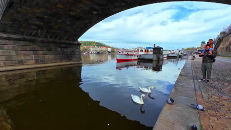 Vater-Trägt-Kleinen-Jungen-Huckepack-Am-Fluss-Mit-Schwänen-Unter-Der-Stadtbrücke