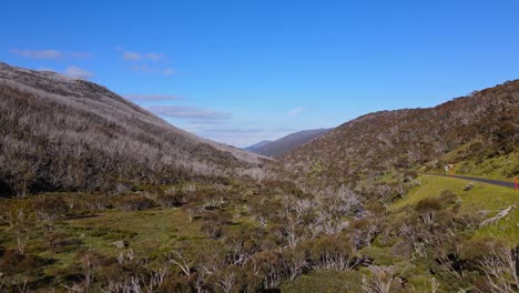 Árboles-De-Goma-De-Nieve-En-El-Sendero-Para-Caminar-Dead-Horse-Gap