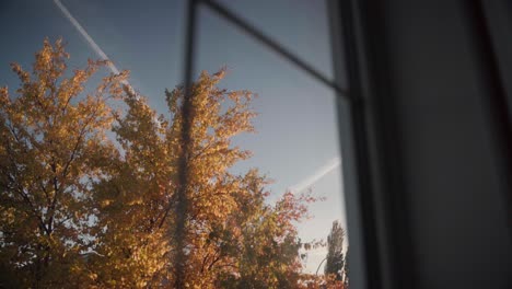 Herbstbaum-Aus-Einem-Fenster-Bewegen