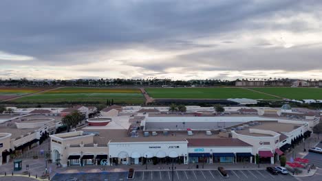 Sideways-Straight-Line-Drone-Flight-Carlsbad-Premium-Outlets-Mall-Middle-to-South-Half-Flower-Fields-Background-Partial-Bloom-Colorful-stripes-and-Green
