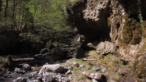 Drones-Vuelan-A-Través-De-Un-Bosque-Mágico-Con-Ríos-De-Montaña-Y-Agua-Cayendo-De-Acantilados