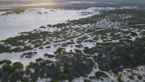 Drone-aerial-showing-a-beach-side-campground-with-windmills-during-sunrise
