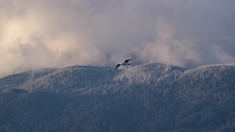 Pájaro-Volando-En-El-Cielo-Con-Montañas-Cubiertas-De-Nieve---Tiro-De-Seguimiento
