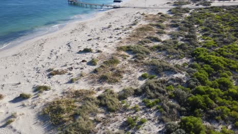 Drone-aerial-close-to-ground-over-natural-trees-over-a-white-sand-beach-in-Jurien-Bay