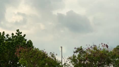 Luftverschmutzung-Durch-Industriefabriken-In-Der-Nähe-Der-Grünen-Bäume