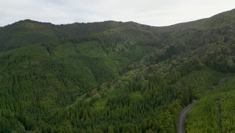 The-lush-forest-landscapes-of-Portugal's-Azores-region-as-you-observe-them-from-above,-capture-the-spirit-of-exploration-and-discovery