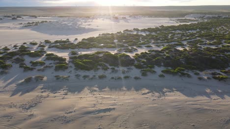 Drone-aerial-zooming-out-from-sand-dunes-to-the-beach-during-sunrise