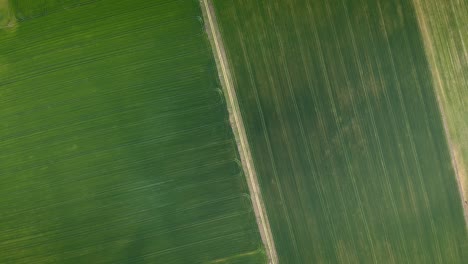 Luftaufnahme-Von-Leuchtend-Grünen-Landwirtschaftlichen-Feldern-Von-Oben-Auf-Dem-Land-An-Einem-Sonnigen-Frühlingstag