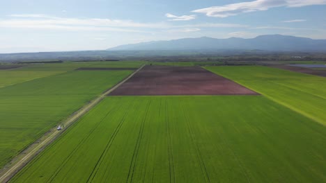 Luftaufnahme-Von-Leuchtend-Grünen-Landwirtschaftlichen-Feldern-Aus-Nächster-Nähe,-Auf-Dem-Land-An-Einem-Sonnigen-Frühlingstag