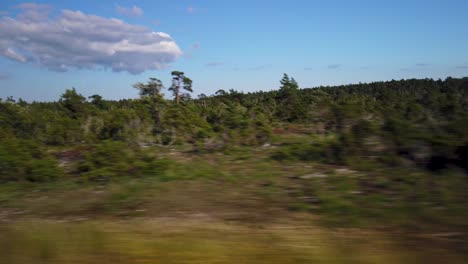 Endless-forestry-landscape-of-Gotland-island-in-Sweden,-driving-view