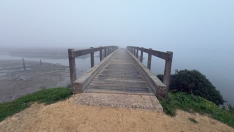 Caminar-Por-El-Paseo-Marítimo-De-Madera-Genera-Entusiasmo-Por-La-Exploración-Y-La-Aventura-En-Medio-Del-Entorno-Acuático.