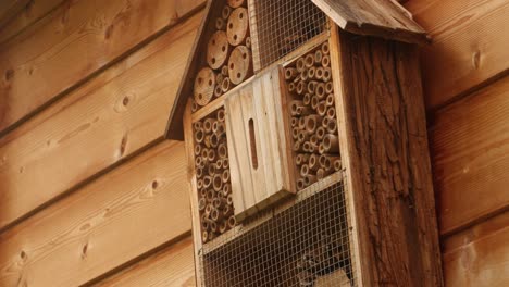 Una-Abeja-Silvestre-Se-Arrastra-Sobre-Un-Hotel-De-Insectos-En-Un-Día-Soleado-De-Primavera