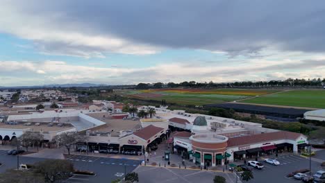 Drone-Flight-Path-Carlsbad-Premium-Outlets-Covering-Southwest-Corner-of-Mall-Flower-Fields-Background-Partial-Bloom-Colorful-stripes-and-Green