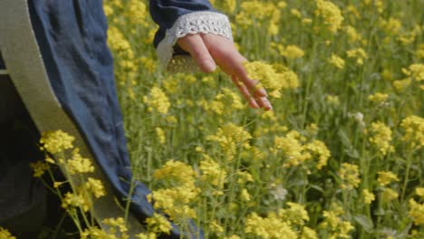 Close-up-of-a-woman-slowly-moving-her-hand-over-flowers-while-walking-through-a-large-field-in-slow-motion