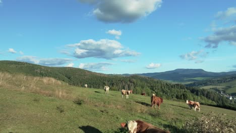 Cinematic-wide-shot:-cows-graze-on-a-vibrant-green-hill-with-rolling-mountains-and-fluffy-clouds-in-a-clear-blue-sky-on-a-summer-day