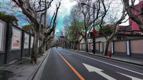 Wander-through-the-serene-alleys-of-Shanghai,-where-peace-and-tranquility-envelop-every-corner