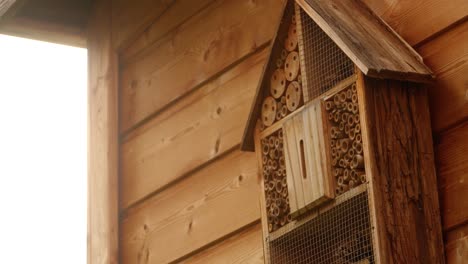 Una-Abeja-Silvestre-Vuela-A-Un-Hotel-De-Insectos-Colgado-En-Un-Cobertizo-De-Jardín