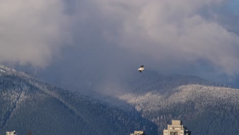Seagull-Flying-Against-Snowy-Mountain-And-High-rise-Buildings