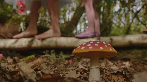 Fantasy-scene-of-Fly-agaric-mushroom-with-children's-feet-walking-over-a-fallen-tree-log-in-the-background