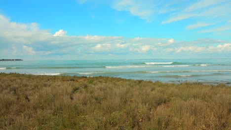 Waves-roll-ashore-in-a-beautiful-dune-grass-landscape