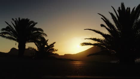 Shadow-of-Car-Passing-by-on-Eearly-Morning-Sunrise,-Palms-in-the-Background