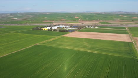 Luftaufnahme-Von-Leuchtend-Grünen-Landwirtschaftlichen-Feldern-Aus-Nächster-Nähe,-Auf-Dem-Land-An-Einem-Sonnigen-Frühlingstag