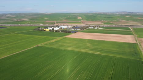 Toma-Aérea-De-Vibrantes-Campos-Verdes-Agrícolas-De-Cerca,-En-El-Campo-En-Un-Día-Soleado-De-Primavera