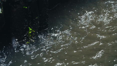 Close-Up-and-Slow-Motion-Splashing-Raindrops-Captured-on-River-Surface