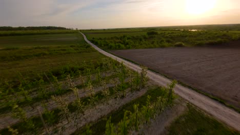 Malerische-Landschaft-Mit-Wanderweg-Durch-Grüne-Wiesen-Im-Kazimierz-Feld,-Polen-An-Einem-Sonnigen-Sommertag