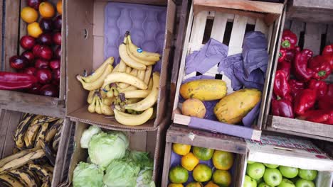 Closeup-fruit-store-shelfs,-south-American-market,-colorful-bananas-plumbs-papaya-apples-oranges-mixed-with-vegetables-in-autumn-seasonal