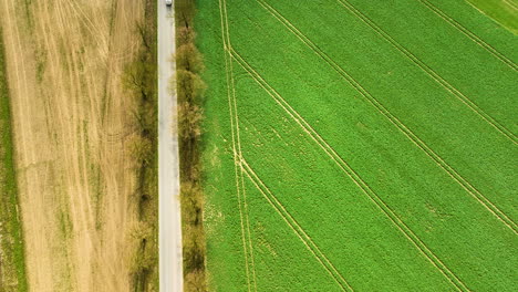 Aerial-Birds-Eye-View-Of-Car-Driving-Along-Road-In-Between-Green-Agricultural-Farming-Field