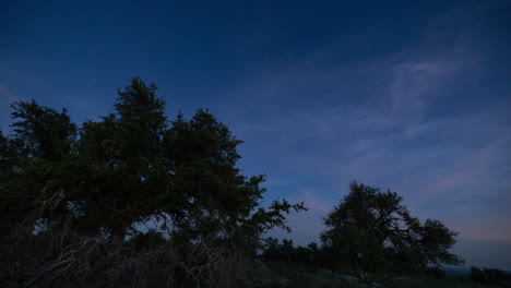 Timelapse-Del-Atardecer-En-Una-Ladera-Con-Un-árbol-En-Un-Pasto-Que-Se-Convierte-En-Noche-Cuando-Salen-Las-Estrellas