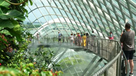 Handheld-motion-shot-capturing-tourists-walking-on-the-aerial-walkway-of-the-cloud-forest-greenhouse-conservatory-at-Gardens-by-the-bay-in-Singapore