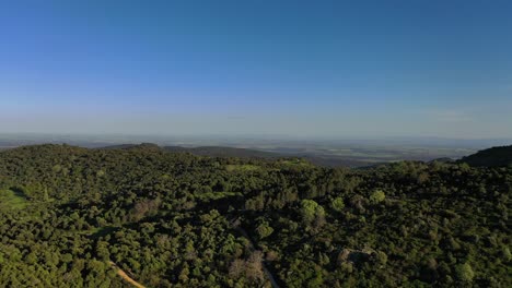 Drone-flight-in-the-San-Vicente-mountain-range,-discovering-the-immense-Toledo-plain-and-passing-through-a-dirt-road-that-leads-to-a-native-forest-of-holm-oaks-and-junipers-with-chestnut-trees