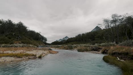 Flowing-Esmeralda-River-Near-Ushuaia-In-Tierra-de-Fuego-National-Park-In-Argentina-Patagonia