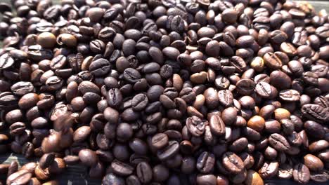 Close-up-of-seeds-of-coffee-11